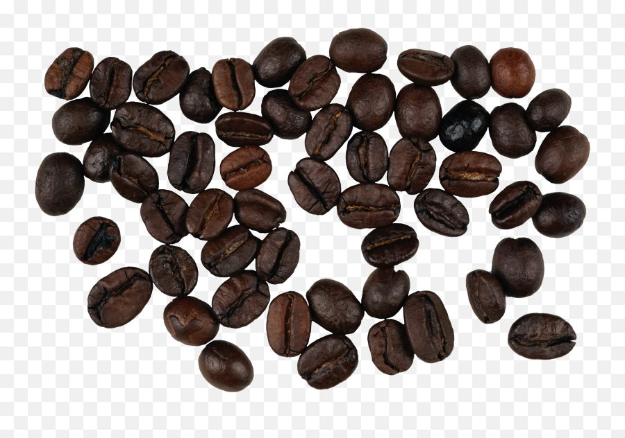Download Coffee Beans Png Image For Free - Png,Coffee Beans Transparent