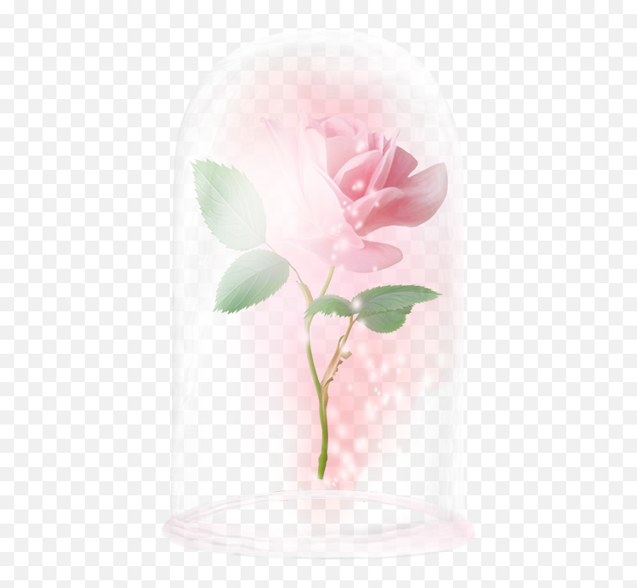 Beast Rose Enchanted - Garden Roses Png,Beauty And The Beast Rose Png