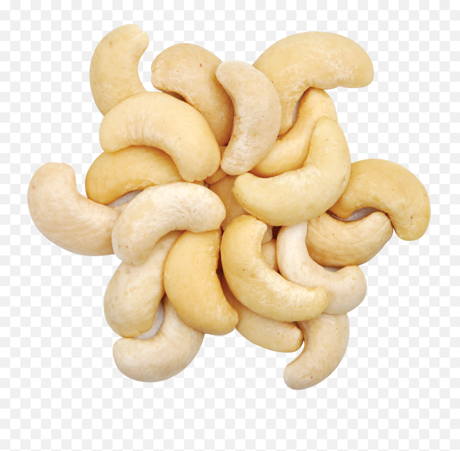 Picture - Transparent Background Cashewnut Png,Cashew Png
