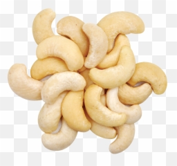 Picture - Transparent Background Cashewnut Png,Cashew Png