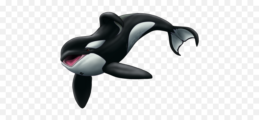 Killer Whale Png - Transparent Orca Whale Png,Orca Png