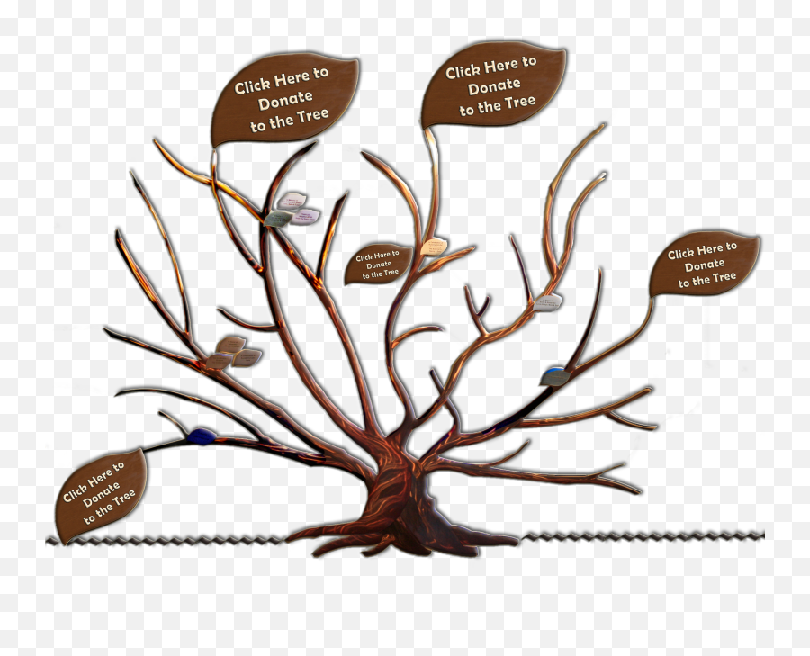 Family Tree Clipart Png - Family Tree Of The Logan Family John Muir Family Tree,Family Clipart Png