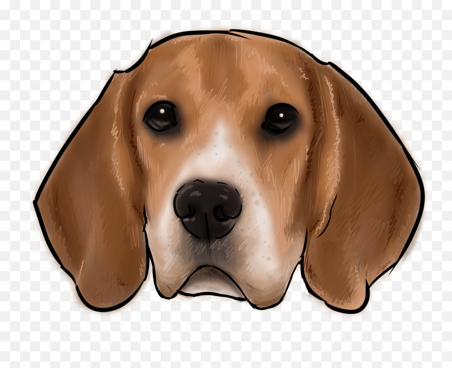 Download 46 Why Are You A Beagle - Beagle O Png,Beagle Png