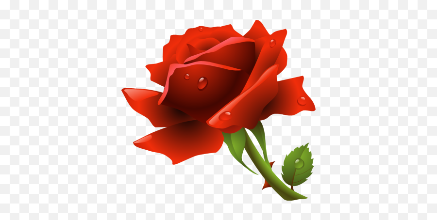 Red Rose Png - Clipart Best Clipartsco Red Rose Vector,Red Flower Png