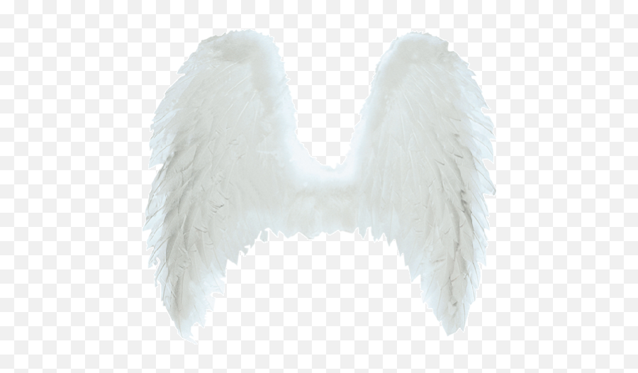 Download White Angel Wings Png