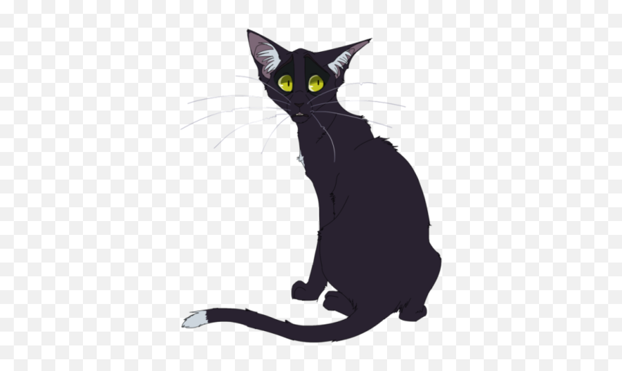 Halfheart Warrior Cats Roleplay Wiki Fandom - Warrior Cats Designs Ravenpaw Png,Half Heart Png