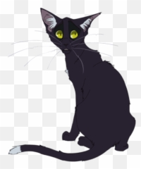 Halfheart Warrior Cats Roleplay Wiki Fandom - Warrior Cats Designs Ravenpaw Png,Half Heart Png