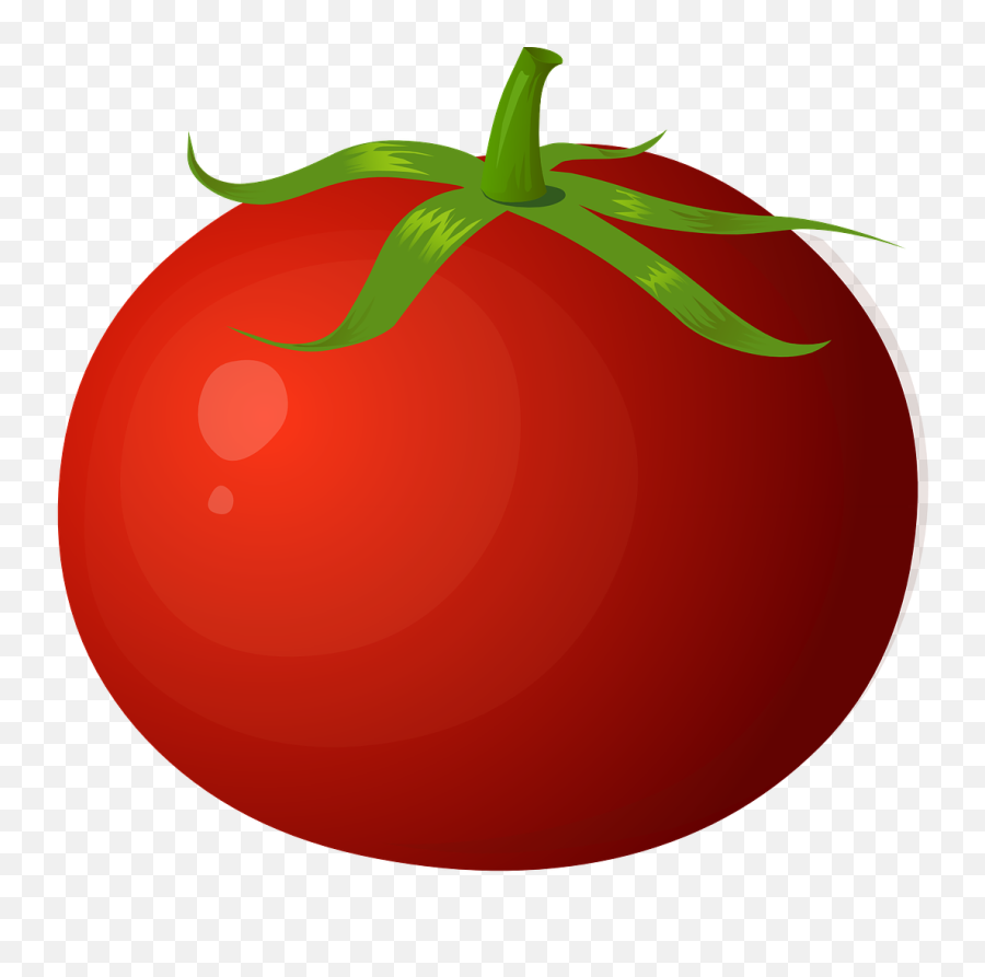 Tomato Red Fruits - Tomatoes Clipart Png,Tomatoes Png