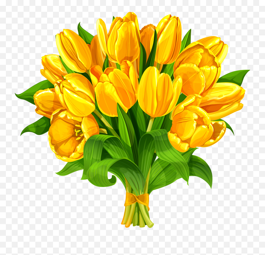Tulip Flower Bouquet Yellow - Yellow Flowers Bouquet Clipart Bouquet Of Yellow Tulips Png,Green And Yellow Flower Logo