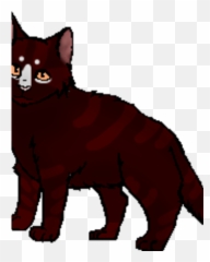Unknown Dark Tabby She - Animal Figure png