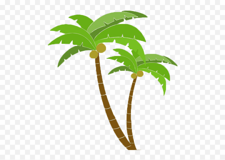 Ben Manley About - Moana Palmeras Png,Palm Tree Icon