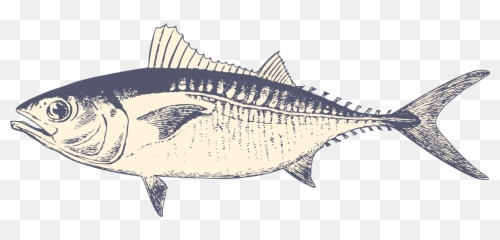 The Oar House - Albacore Png,Claudette Sophia Icon Demi