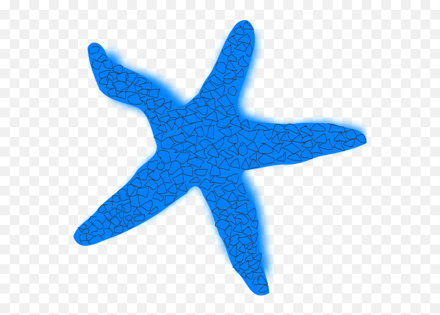 Clipart Summer Starfish Transparent - Starfish Clip Art Png,Starfish Transparent