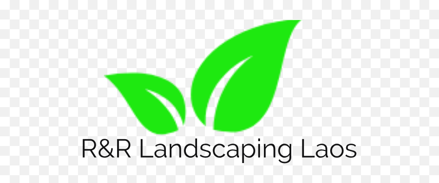 Palm Tree Arecaceae - Ru0026r Landscaping Laos Yuda Bands Png,Palm Tree Logo