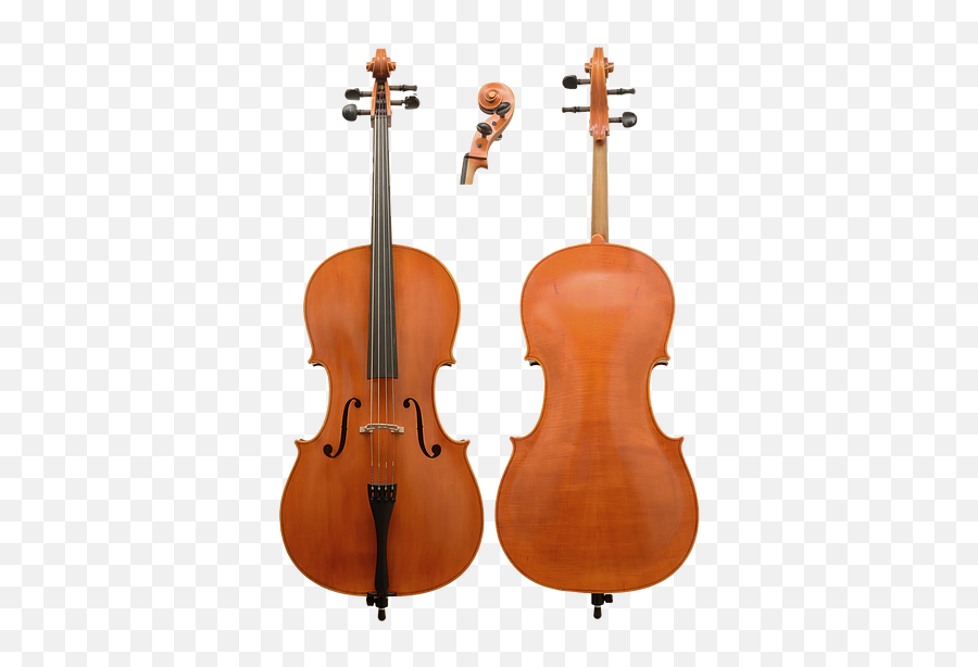 New Cellos Mandarin Strings - Henry Lockey Hill Cello Png,Cello Png