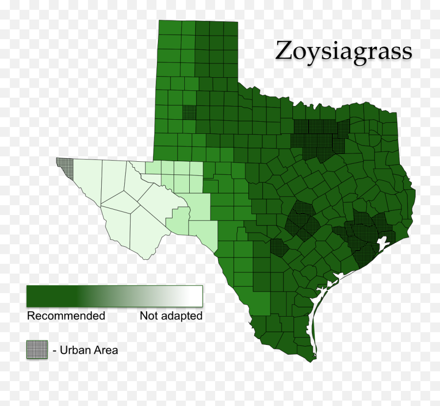 Zoysiagrass Aggieturf - Texas State Shape Png,Zeon Icon