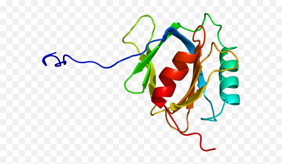 Apbb2 - Wikipedia Estructura De Proteina Precursora Amiloide Png,Wgu Icon
