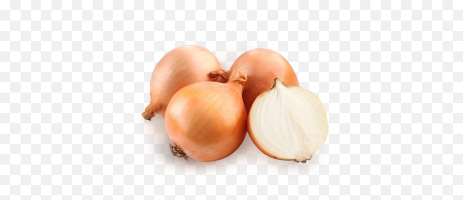 Onion Png Images Free Download - Transparent Background Onion,Onion Png