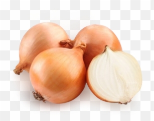 Onion Png Images Free Download - Transparent Background Onion,Onion Png