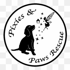 Pixies And Paws Rescue Png