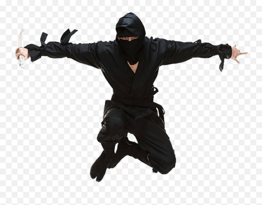 Ninja Png Transparent Images 13 - 851 X 656 Webcomicmsnet Ninja Png,Costume Png