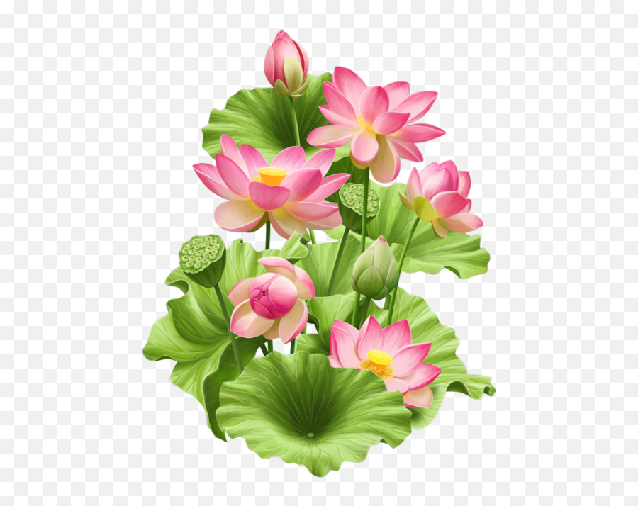 Fleurs - Page 55 In 2019 Lotus Painting Lotus Flower Hoa Sen Vector Png,Lotus Png