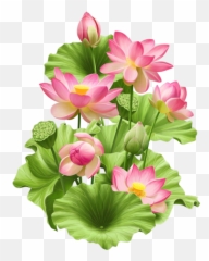 Fleurs - Page 55 In 2019 Lotus Painting Lotus Flower Hoa Sen Vector Png,Lotus Png