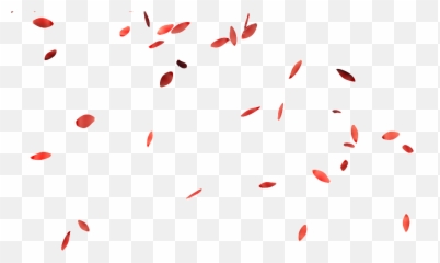 Falling Flower Petals Png - Floating Full Size Transparent Flowers