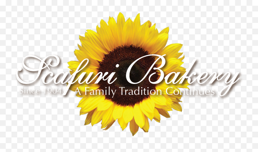 Scafuri Bakery - Bunga Matahari Png,Sunflower Logo