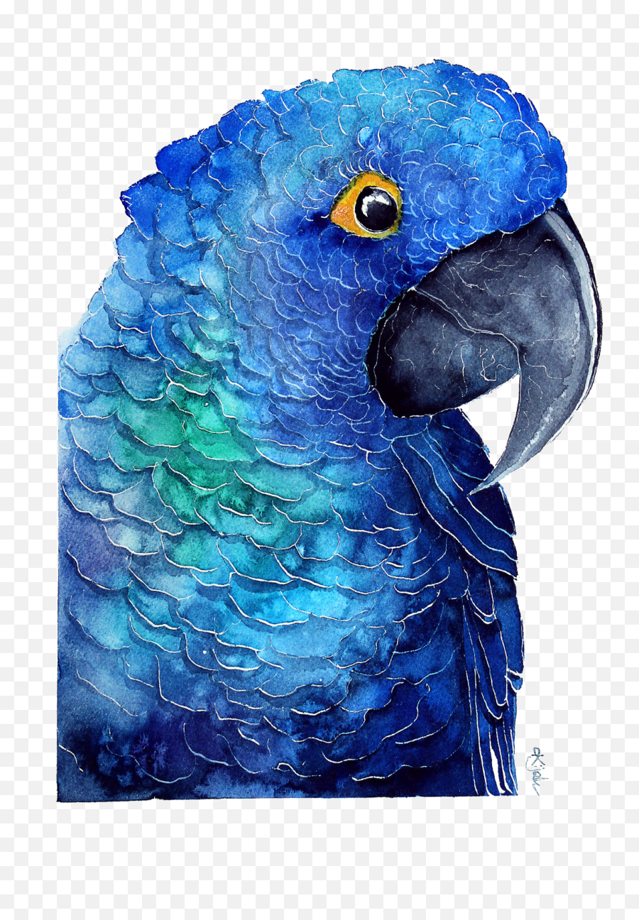 Blue Parrot Download Transparent Png Image Arts - Blue Parrot Paintings,Parakeet Png