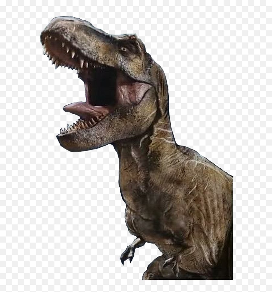 Tyrannosaurus Rex Isla Nublarfilm En 2019 Animales - Jurassic World T Rex Render Png,Jurassic Park Transparent