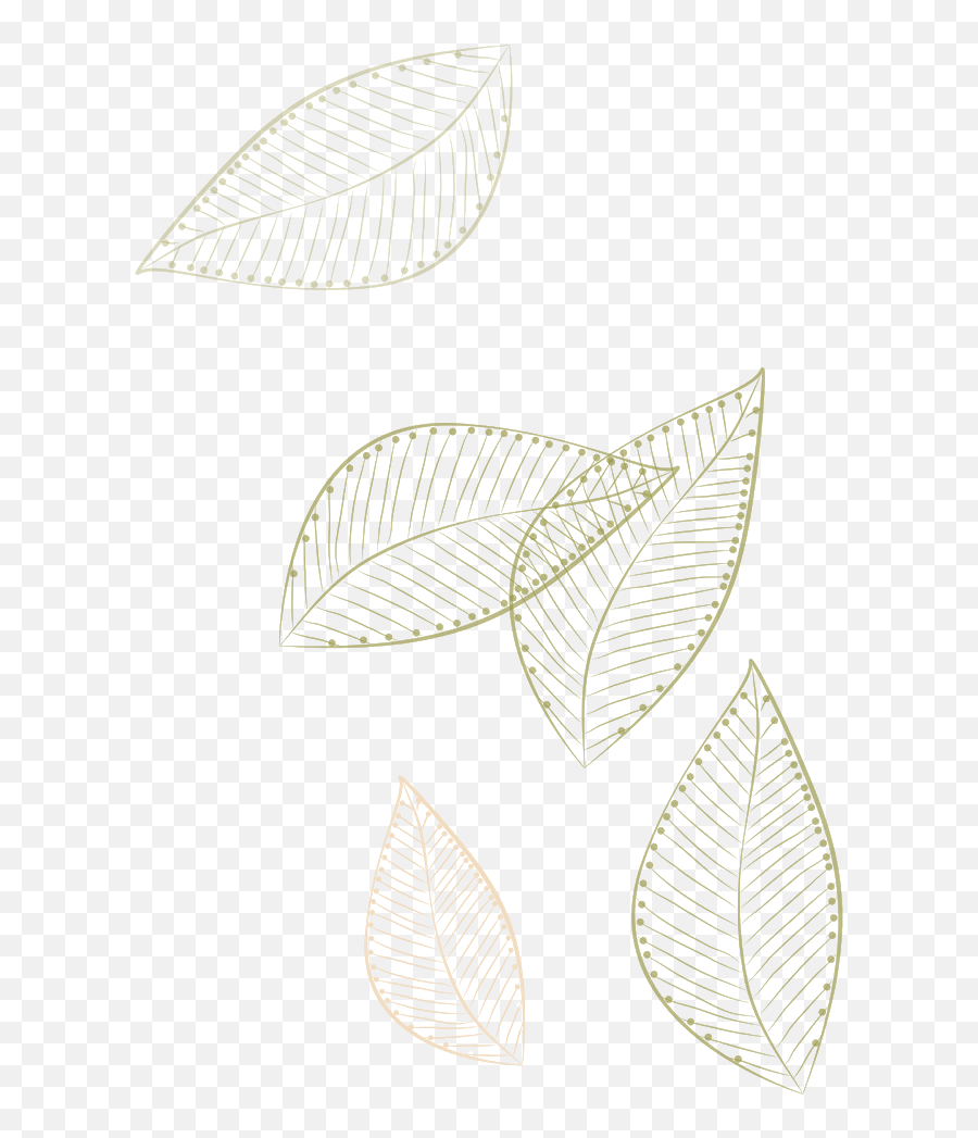 Leaves Floatingleaves Transparent Gold Decor Decoration - Drawing Png,Swirls Transparent