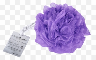 Sponge Bath Png - Shower Sponges Png,Bath Png
