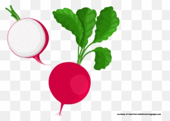 Download Der Kleine Vampir - Transparent Radish Clipart Transparent Clipart Radish Png,Radish Png