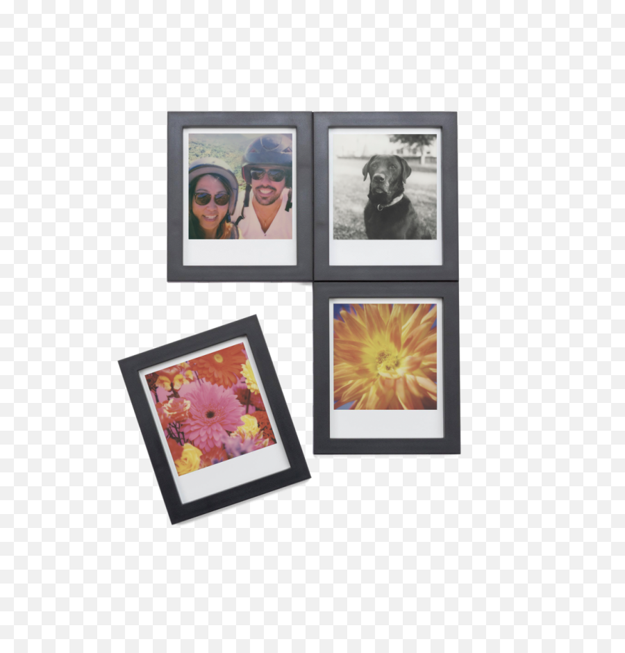 Magnetic Picture Frames - Wildflower Png,Polaroid Frame Png