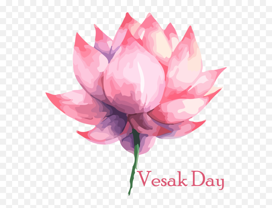 Sacred Lotus For Buddha Day - Vesak Day Png,Lotus Transparent