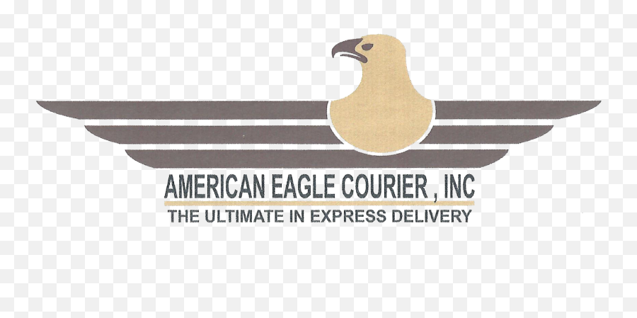 Home Page American Eagle Courier Inc - Pigeons And Doves Png,American Eagle Png