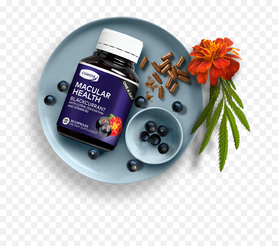 Inkwell Studio - Fitness Nutrition Png,Inkwell Png