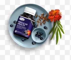 Inkwell Studio - Fitness Nutrition Png,Inkwell Png
