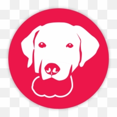 What Is A Kong Dog Toy - Kong Company Png,Dog Toy Png