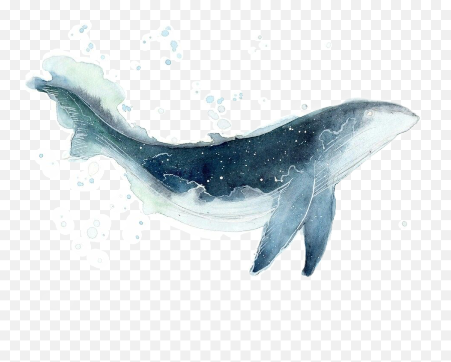Whale Galaxy Watercolor Sticker By Luciacampos - Whale Watercolor Png,Whale Transparent