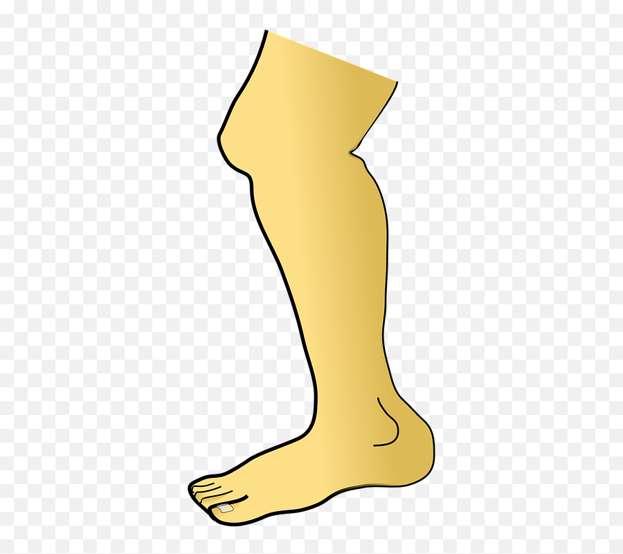 Leg Foot Toes - Cartoon Leg Clipart Png,Leg Png