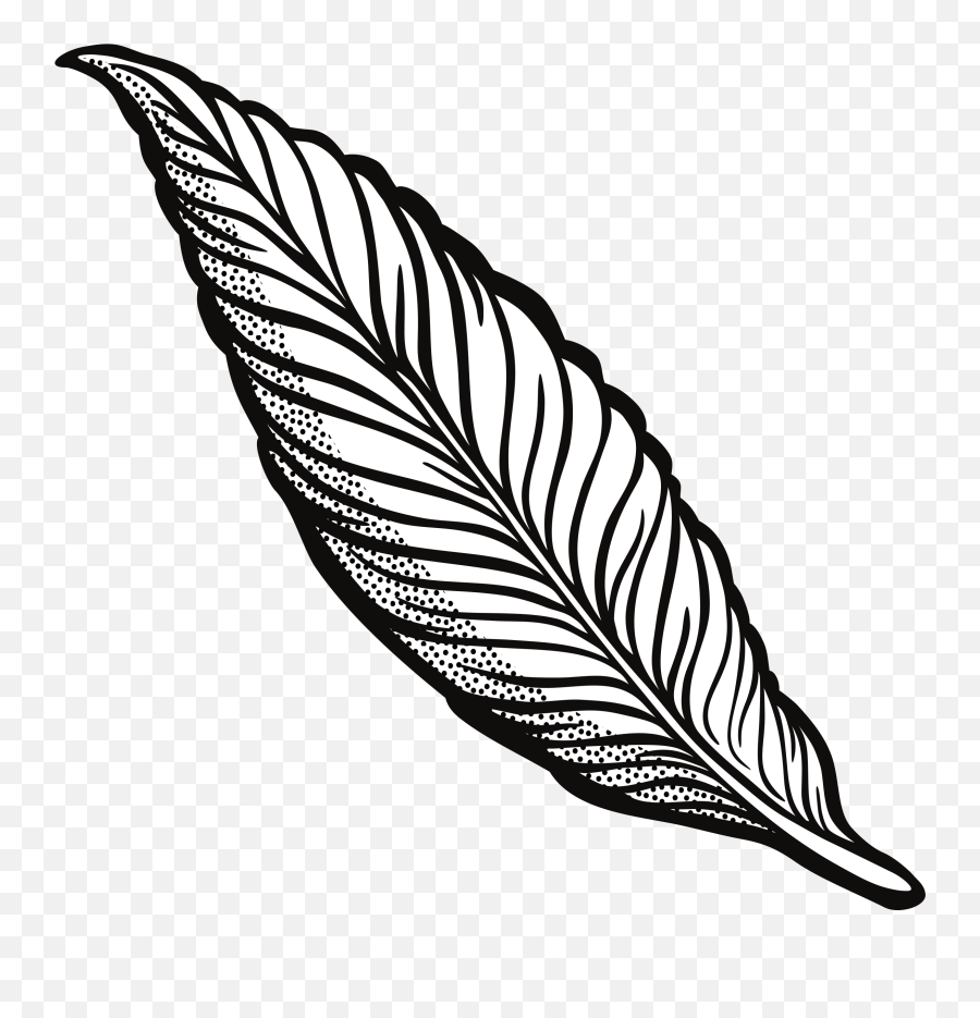 Feather Drawing Transparent U0026 Png Clipart Free Download - Ywd Feather Clipart Black And White,Line Drawing Png