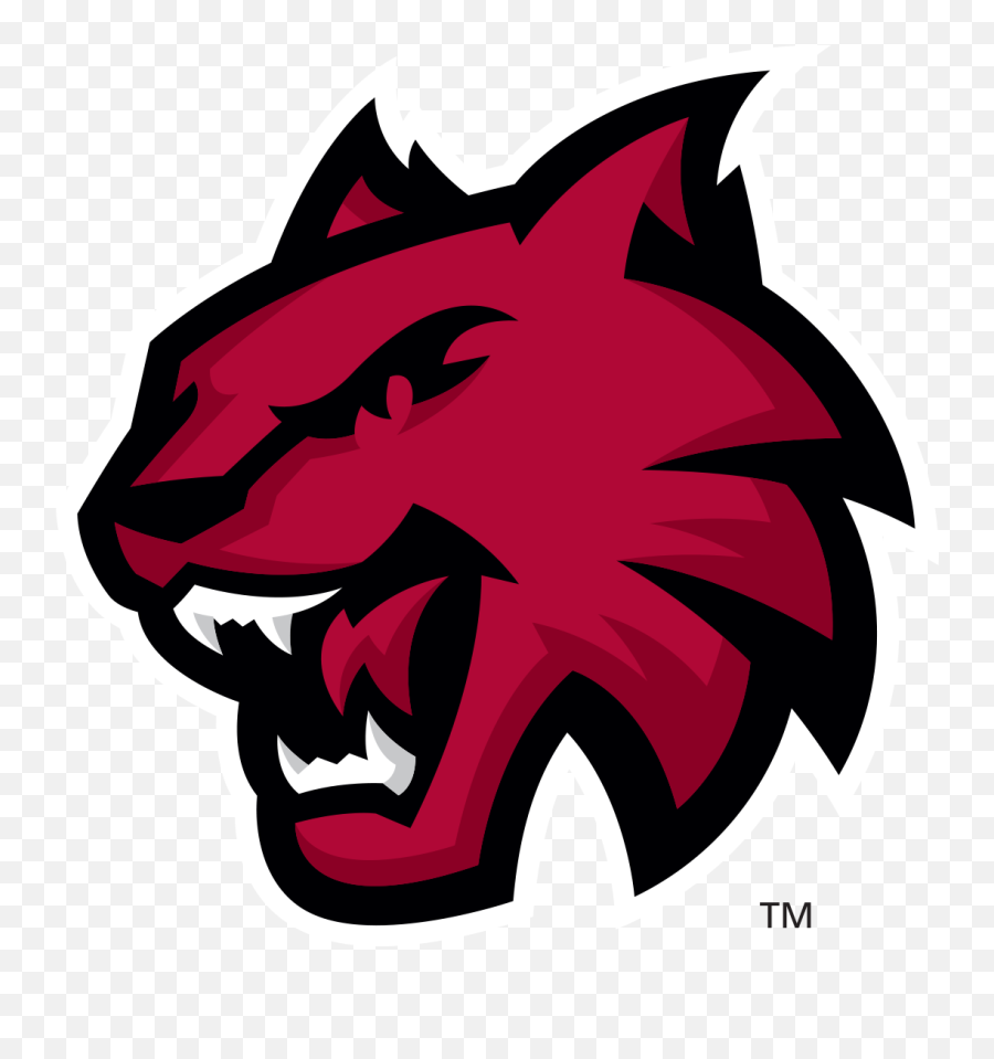 Central Washington University - Cwu Wildcat Transparent Png,Wildcat Png