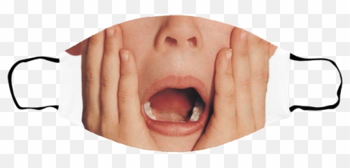 Kevin Mccallister Shocked Home Alone Face Mask - png