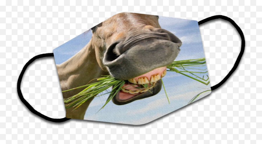 Horse - 3dfacemask Pug Png,Horse Mask Png