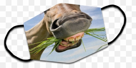 Horse - 3dfacemask Pug Png,Horse Mask Png