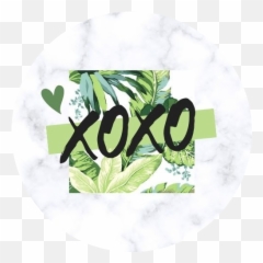 Xoxoteams Linktree - Language Png,Xoxo Png
