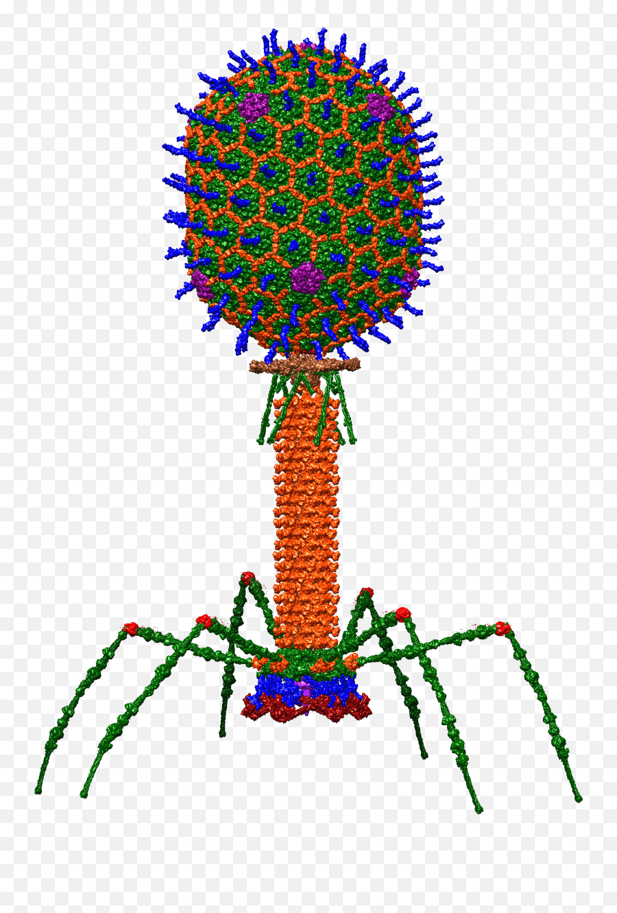 Bacteriophage - Wikipedia T4 Bacteriophage Png,Antibacterial Icon