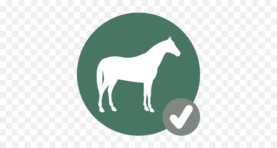Download Horse Icon Check - Check Hook Png Image With No Animal Figure,White Horse Icon